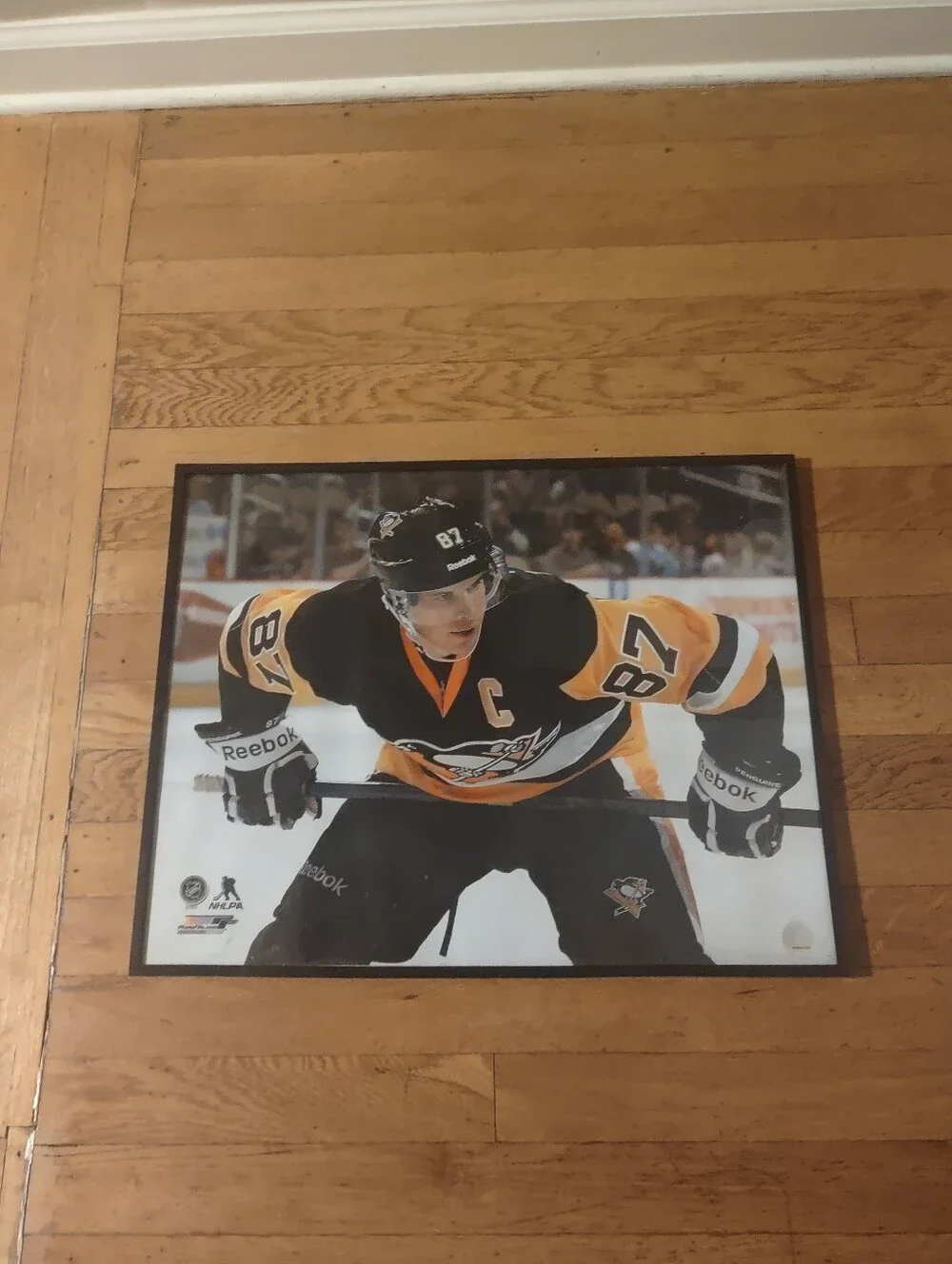 Penguins Sidney Crosby 16x20 photo with black frame